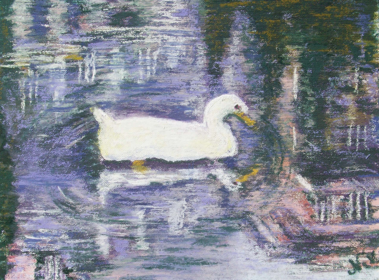 Venetian Duck