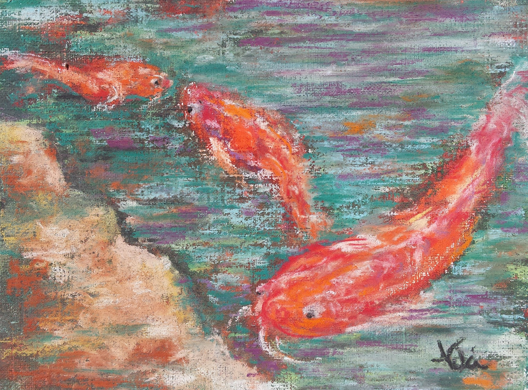 Koi