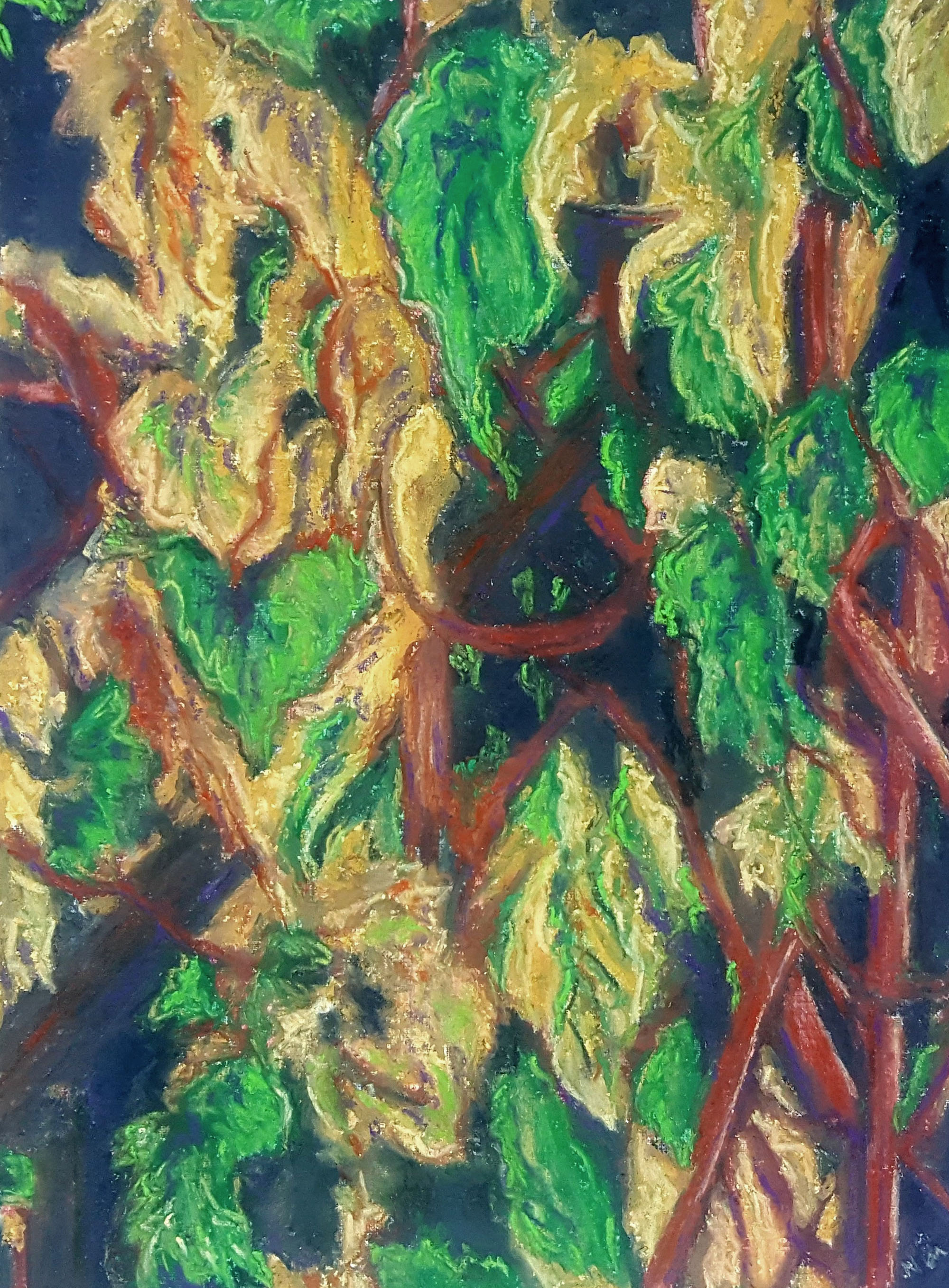 Grape Leaves