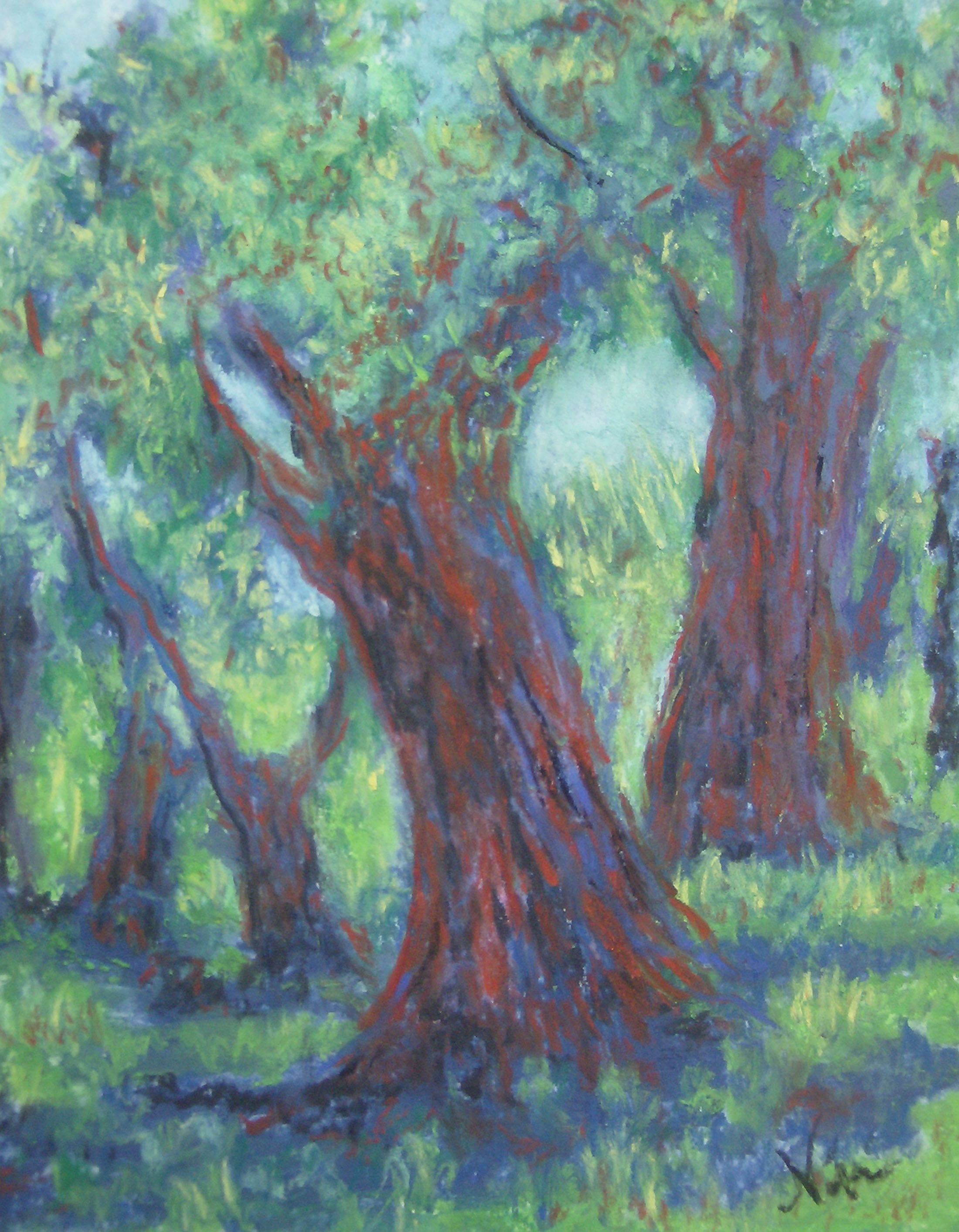Tangled Boughs