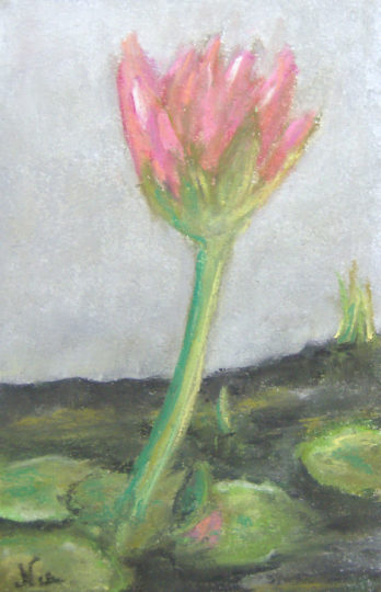 Miniature Works