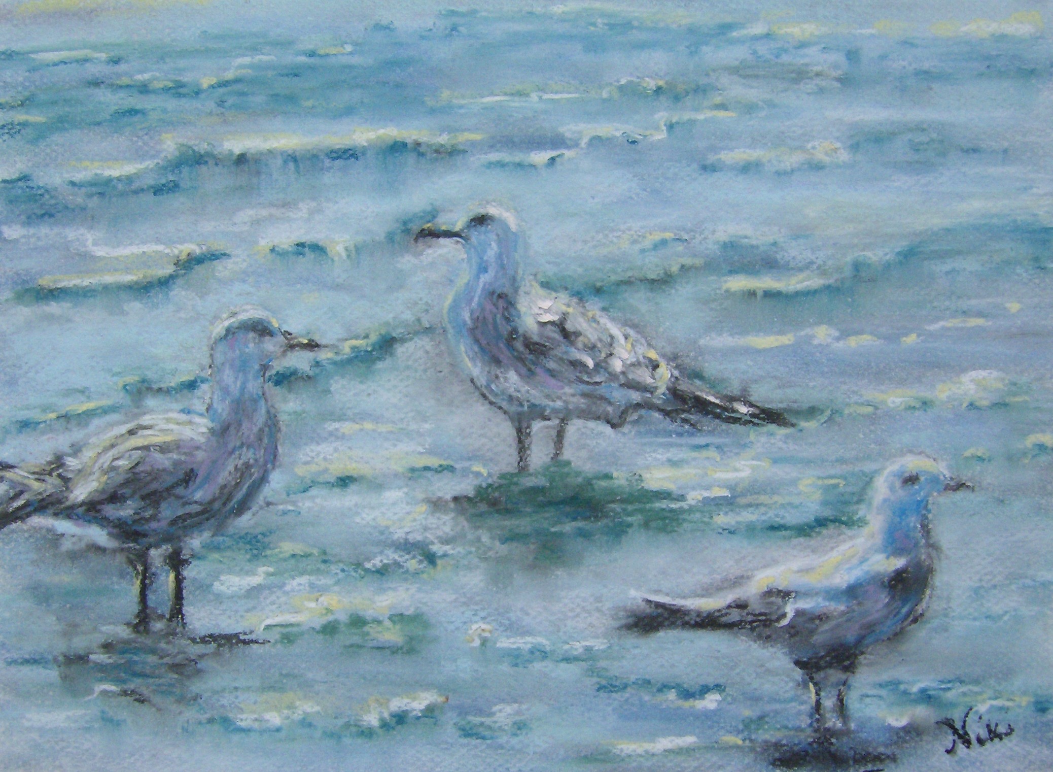 Beach Gulls