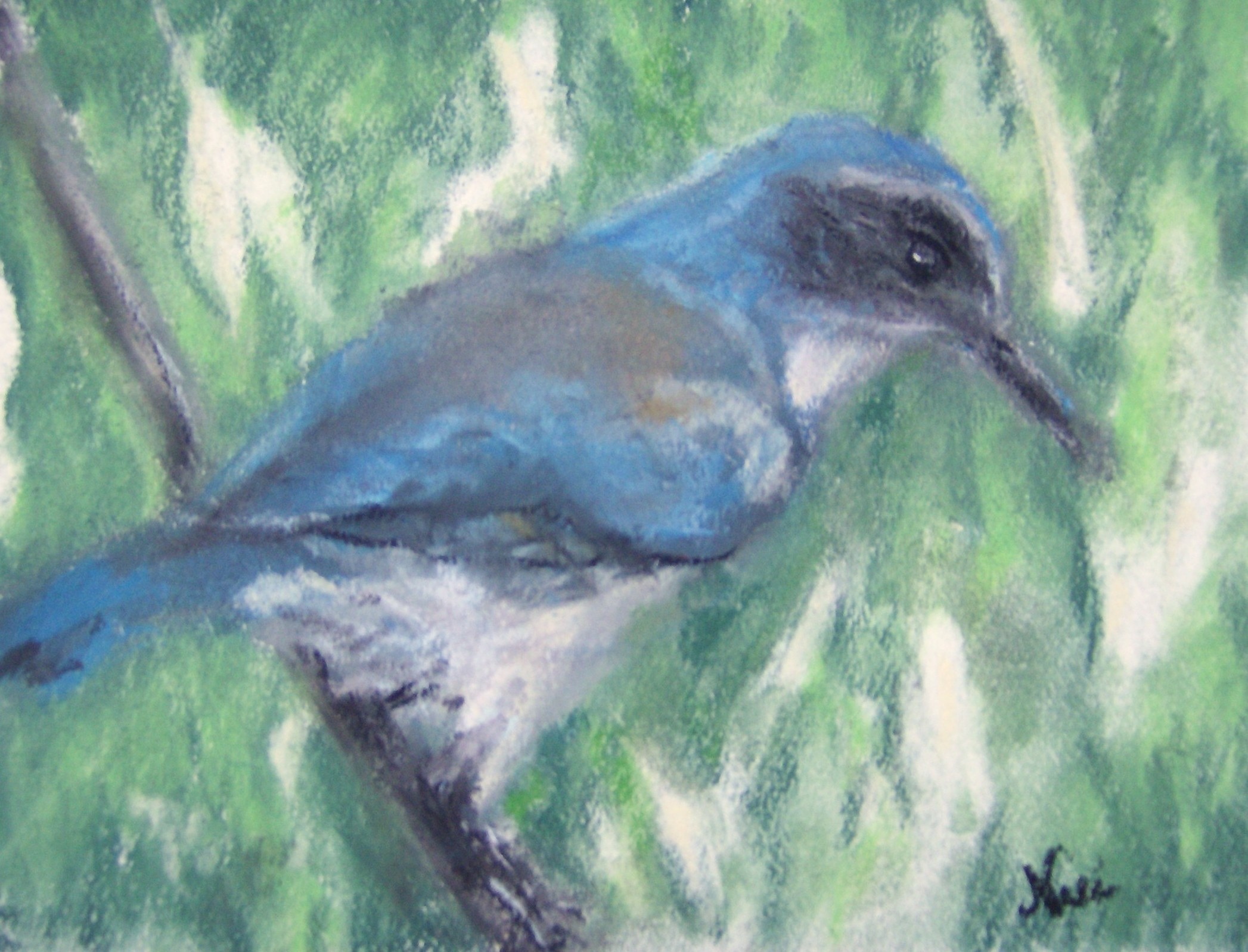 Things I Didn't See Coming in 2025